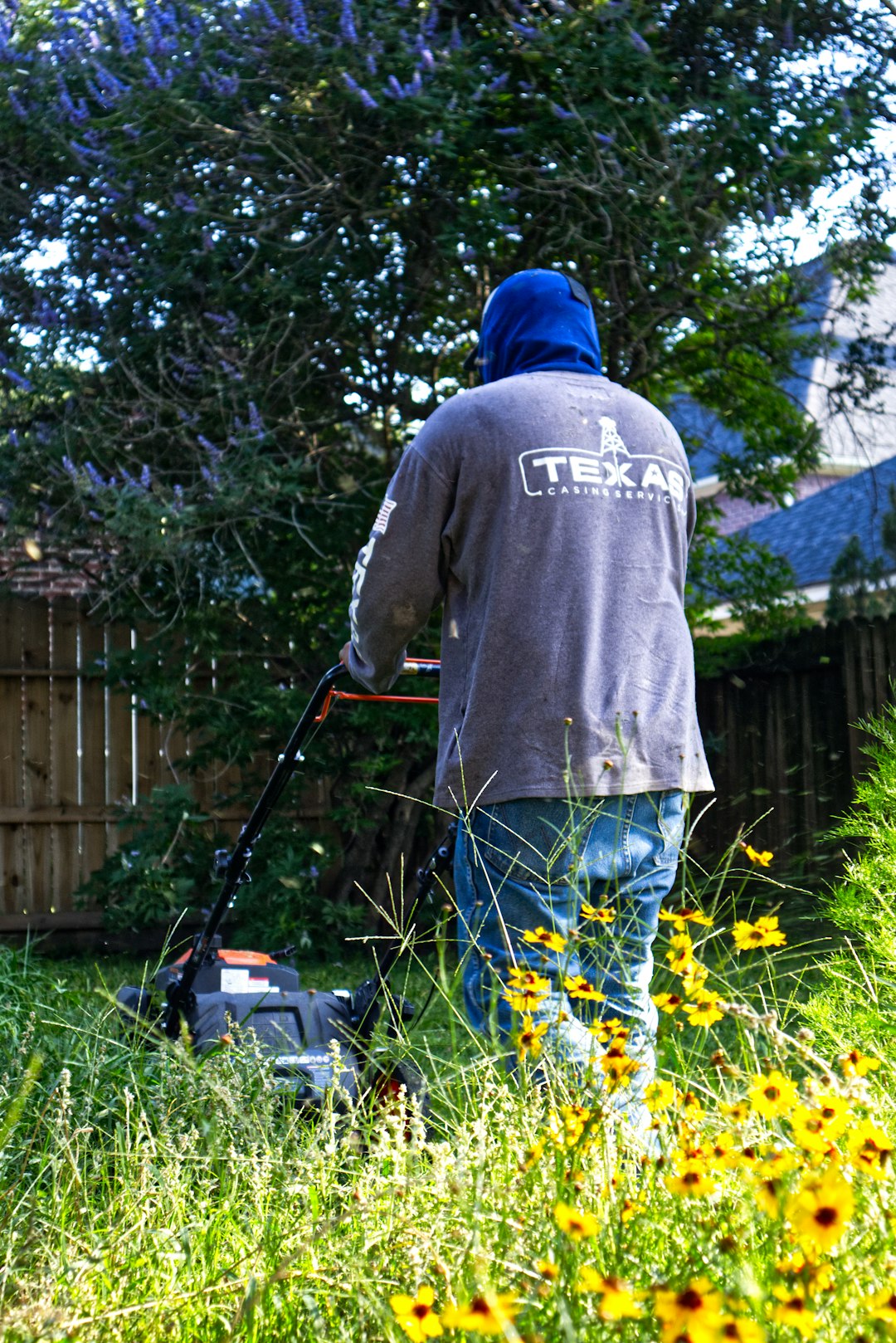 Man mowing an overgrown lawn with yellow wildflowers.