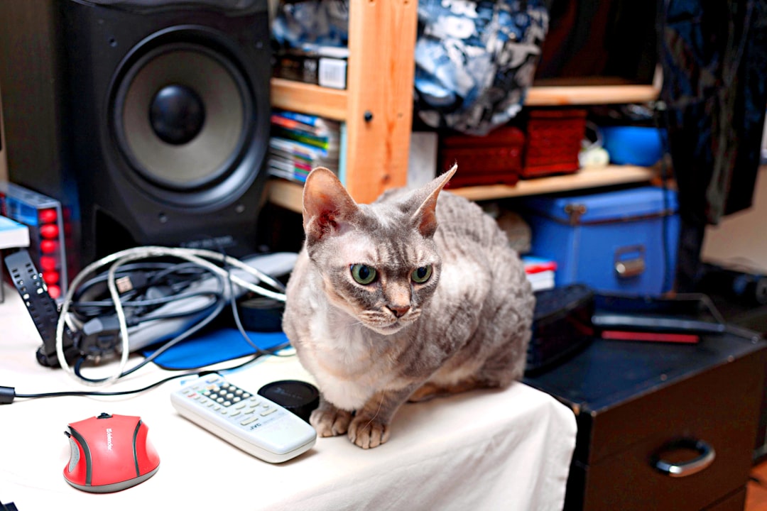 a cat sitting on top of a table next to a keyboard
