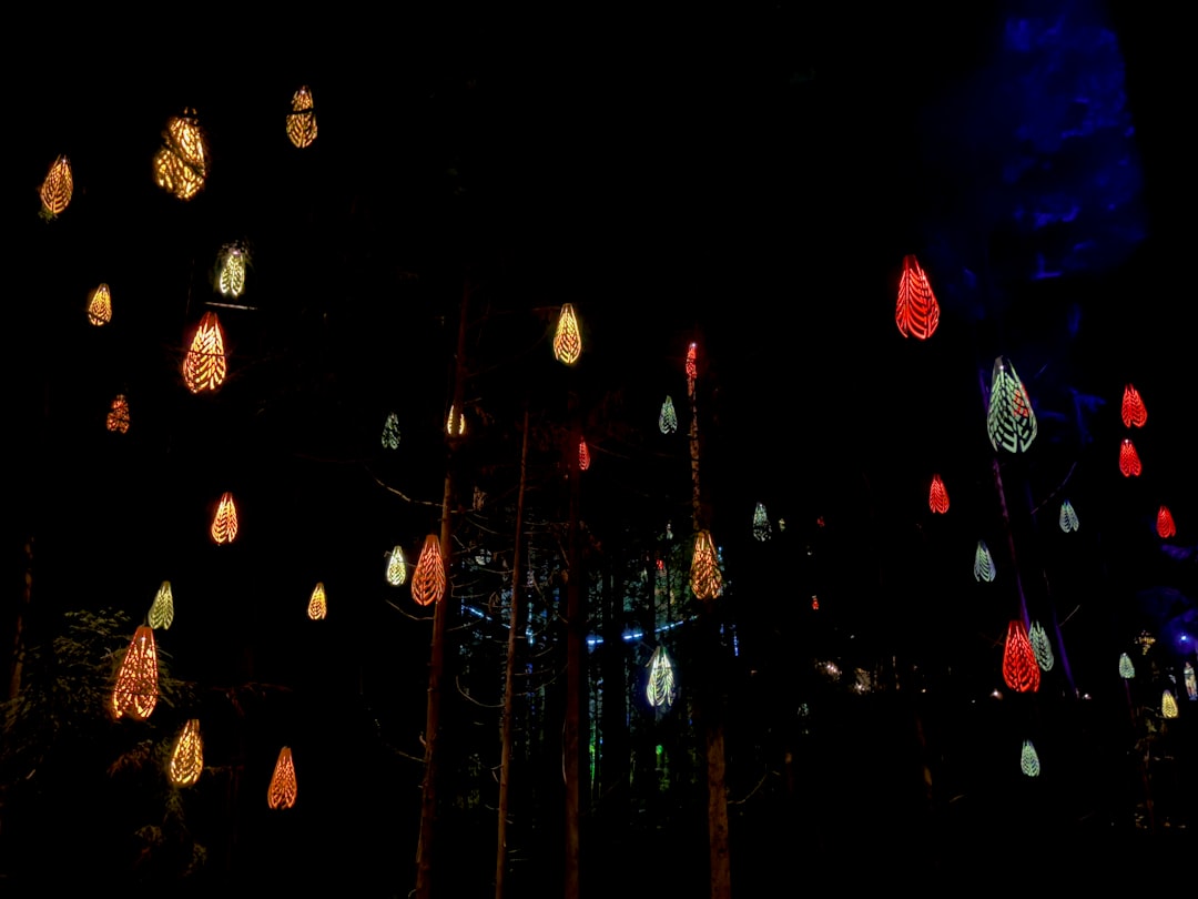 Colorful lanterns hanging from trees at night