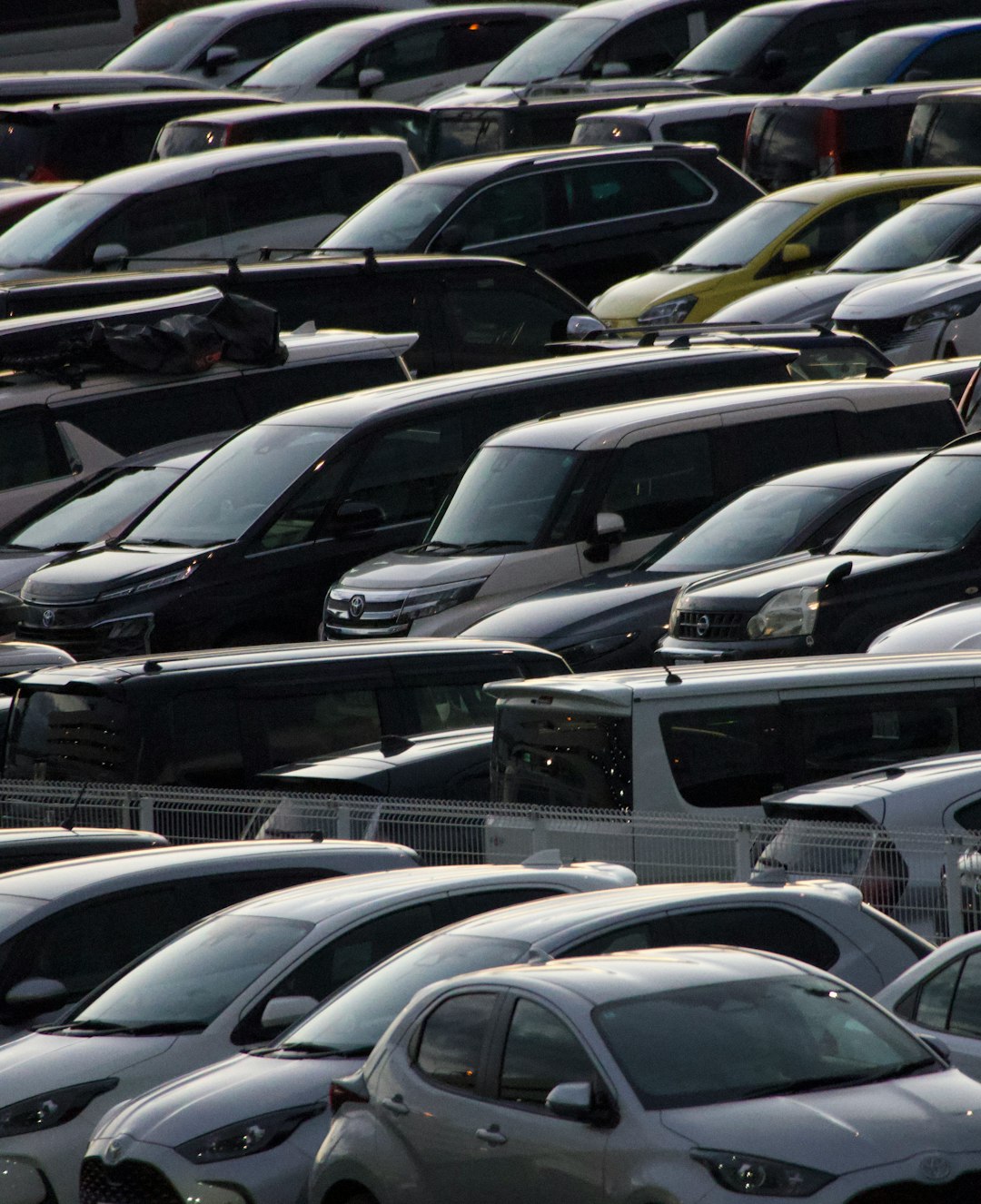 Rows of parked cars in a lot