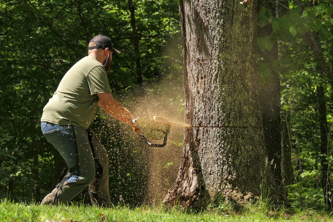 A man cutting a tree with a chainsaw, sawdust flying.