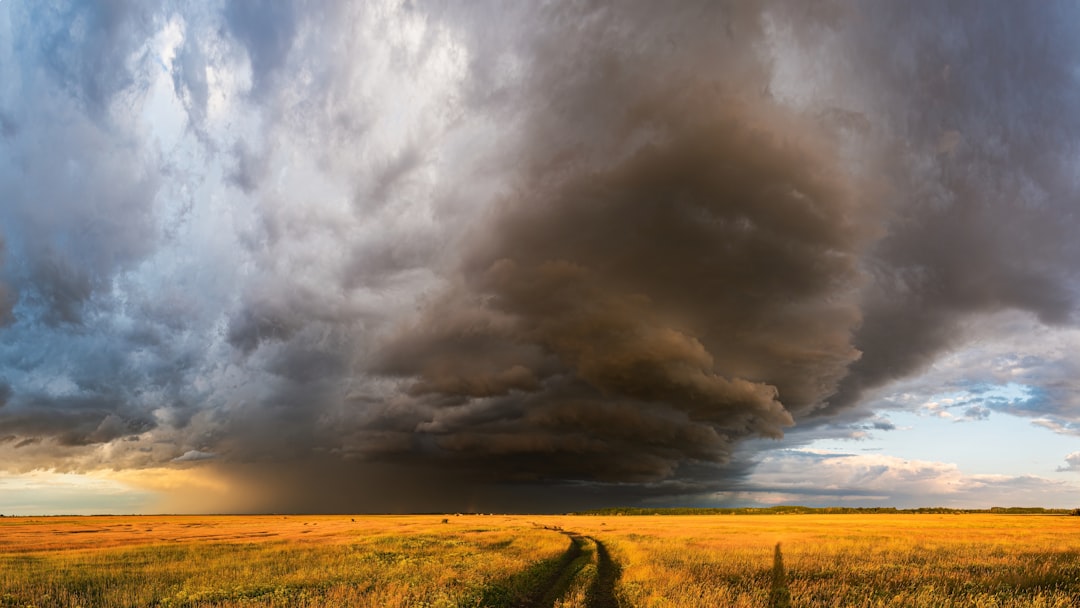 a large storm cloud looms over an open field
