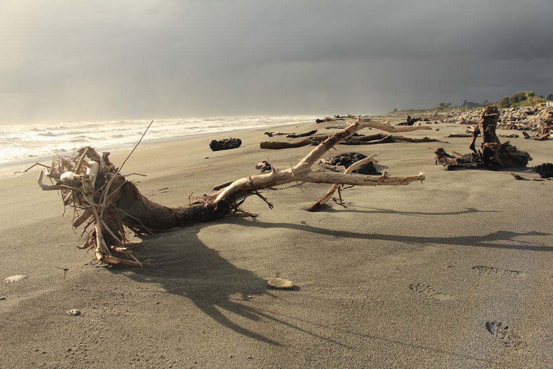 Driftwood on a sandy beach with stormy skies