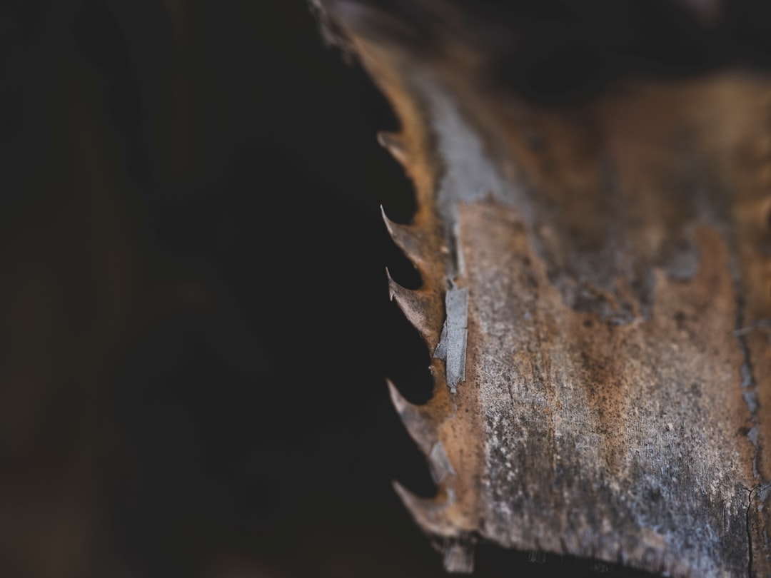 A close-up shows the sharp teeth of a saw blade