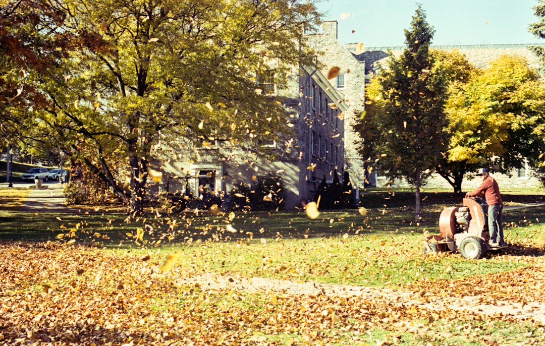 A leaf blower cleans up fallen autumn leaves